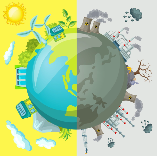 Environmental Impact Comparison